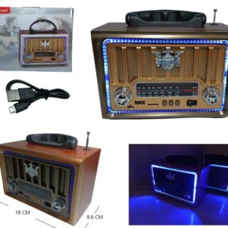 RADIO VINTAGE FM,USB,TF CARD RECARGABLE           KTF-2016