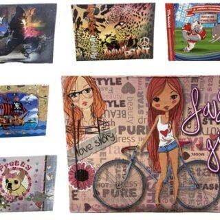 CARPETA N5 DIBUJO VARIOS PERSONAJES                CN5V