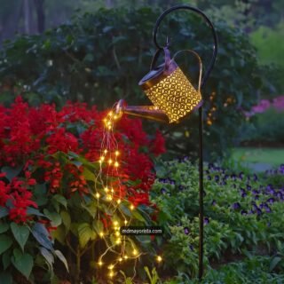 Regadera Luces Leds