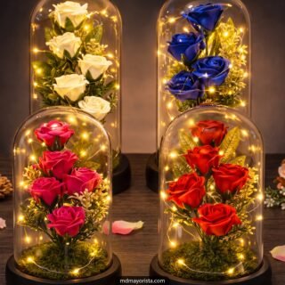 Rosas eternas en cúpula de vidrio